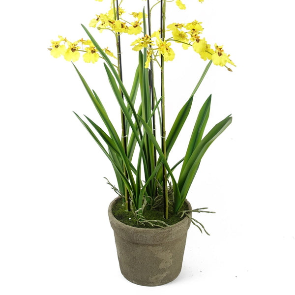 Artificial Orchid Yellow in Stoneware Planter Botanik