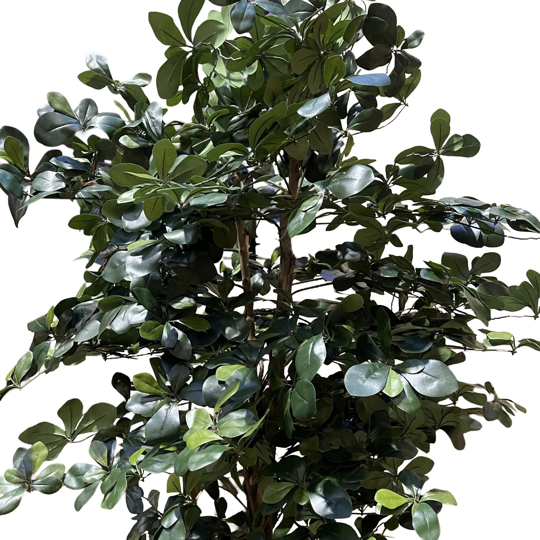 180cm Fire Retardant Black Olive Tree with 2925 Leaves and Natural Trunk