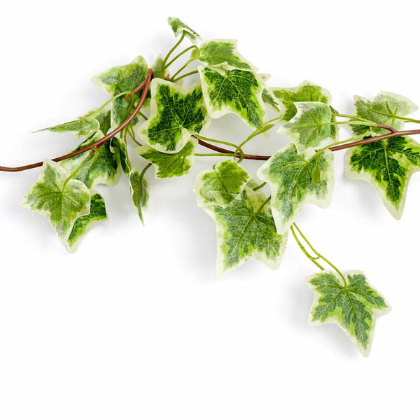 160cm Artificial Ivy Garland Trailing Hanging Plant Faux Foliage - Variegated
