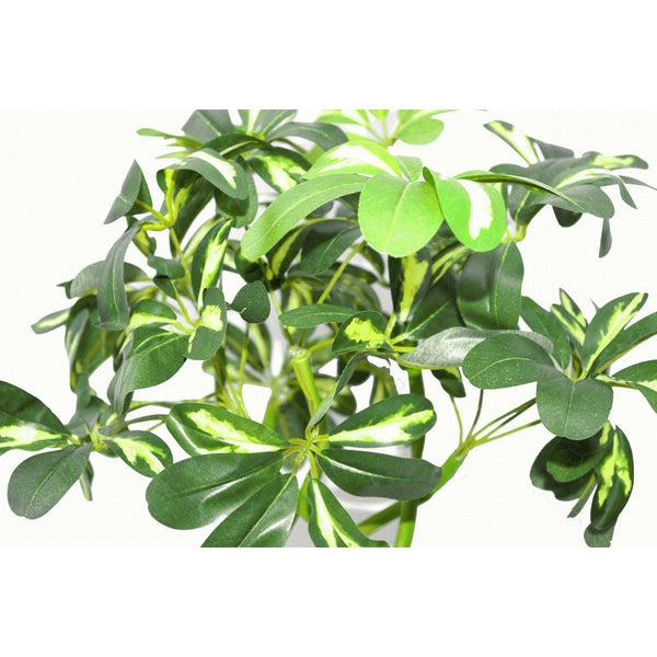 Artificial Plant Tree Arboricola Golden Capella Bush 70cm