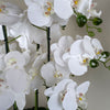 Orchid White - Marble Effect  Ceramic Planter