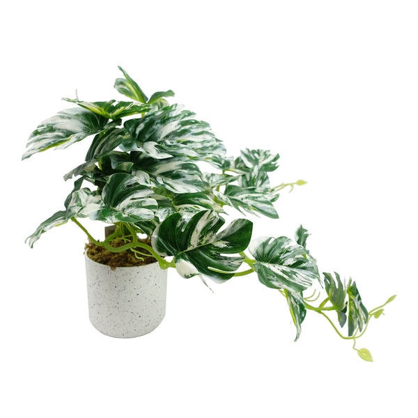 30cm Artificial Variegated Green Potted Monstera Trailing Plant - Premium Quality