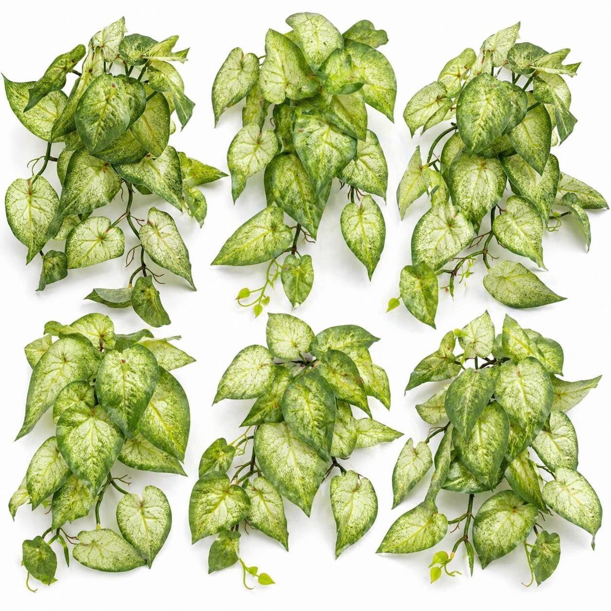 Pack of 6 x 25cm Artificial Trailing Variegated Caladium Vine Plant Light Green - Premium Quality