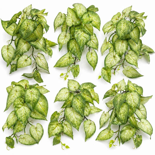 Pack of 6 x 25cm Artificial Trailing Variegated Caladium Vine Plant Light Green - Premium Quality