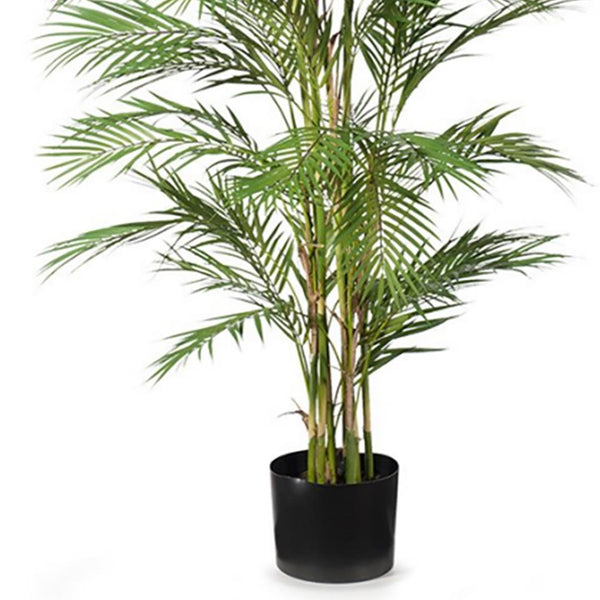 180cm Areca Palm Artificial UV Resistant