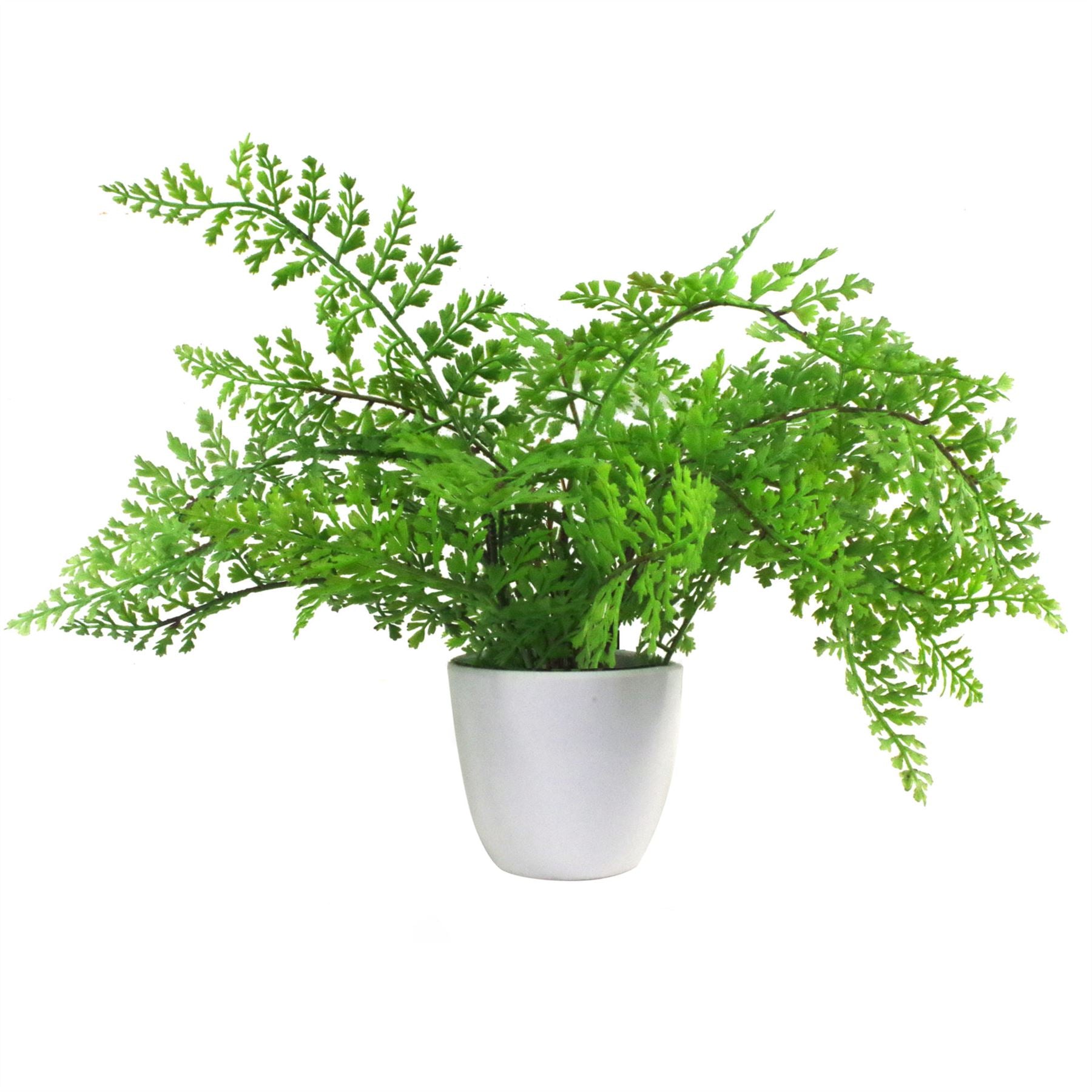 Artificial Fern Plant 30cm Forest Fern 30cm Display