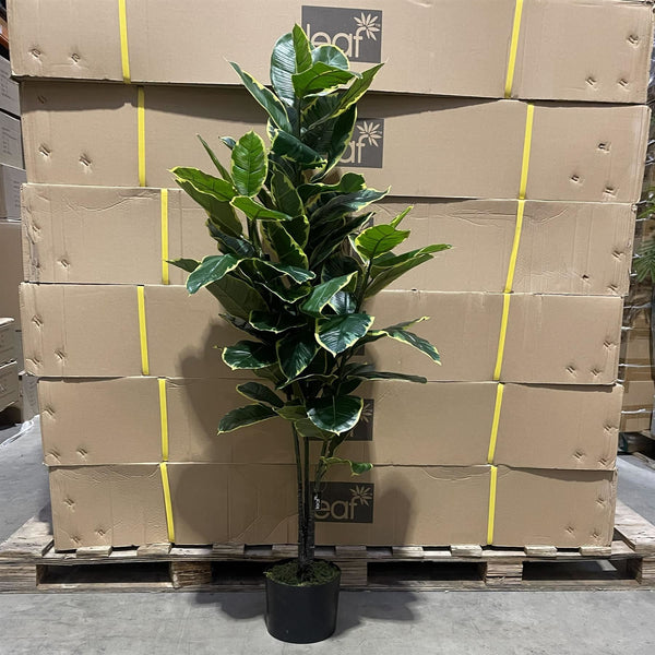 120cm Artificial Rubber Tree - Premium Quality