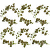 Pack of 6 x 160cm Artificial Watermelon Peperomia Botanik Garland Hanging Decoration - Premium Quality