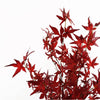 120cm Artificial Red Maple Tree - Premium Quality