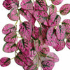 Pack of 6 x 60cm Artificial Pink Polka Dot Plant Hanging Bushes