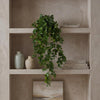75cm Artificial Trailing Round Leaf Hanging Foliage Plant - Deep Forest Green