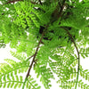 Faux 30cm Potted Lady Fern (Athyrium Filix-Femina)