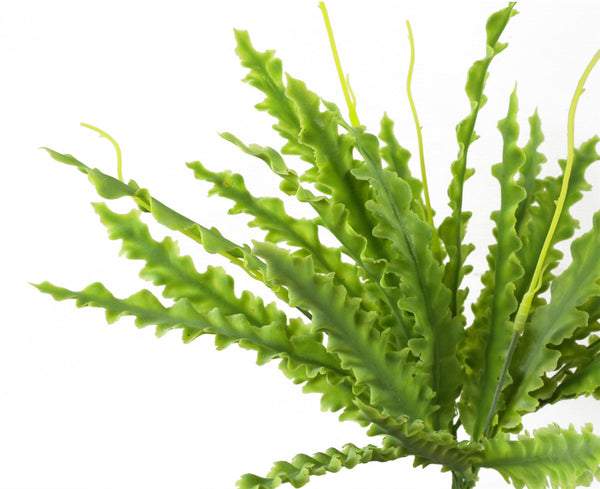 Artificial 40cm Crocodile Fern Plant