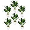 Pack of 6 x 45cm Artificial Aureum Plant - Premium Quality