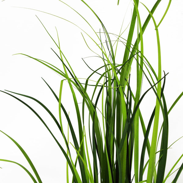 60cm Artificial Lemongrass Grass Plant Plants