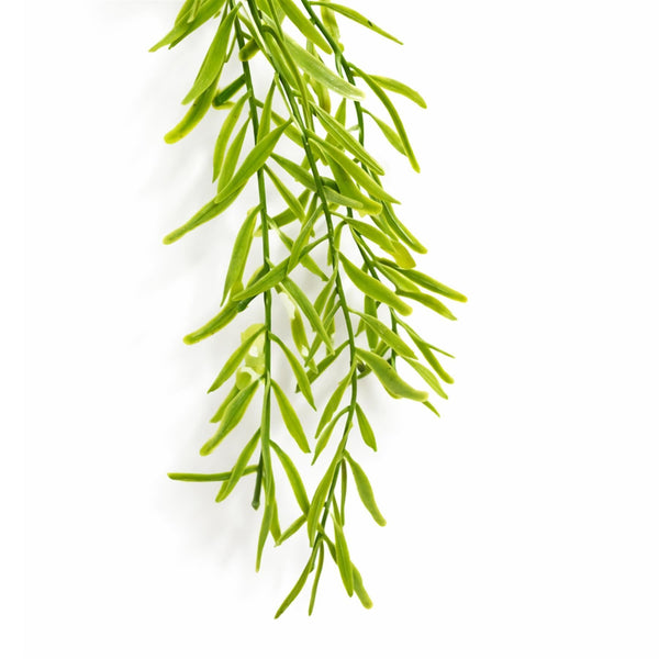 Pack of 6 x 100cm Artificial Trailing Rhipsalis Style Hanging Plant - Light Green Tips - Premium Quality