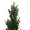 90cm UV Artificial Cedar Cypress Topiary UV Resistant