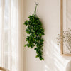 Pack of 6 x 70cm Artificial Trailing Laurel Leaf Hanging Plant – Realistic Green Plastic Foliage