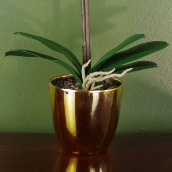 48cm Harlequin Orchid Artificial - Pink with Gold Pot