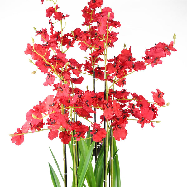 Oncidium Orchid Red in Stoneware Planter