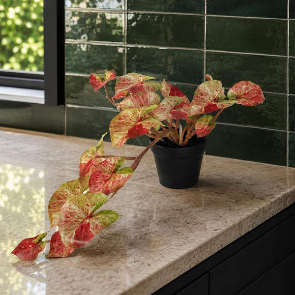 Artificial Hanging Trailing Plant Plant Pink Splash Caladium Botanik