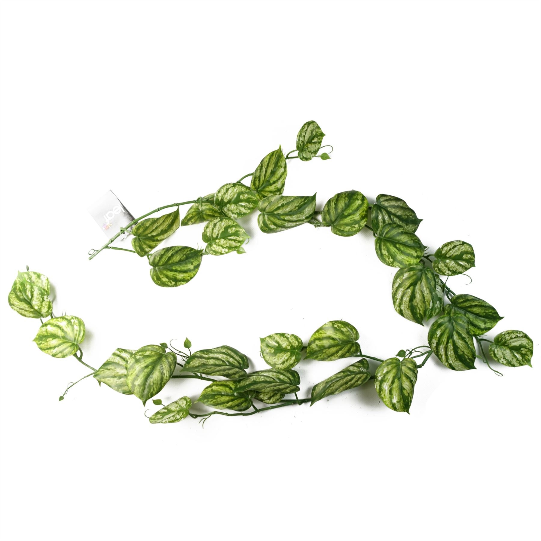 Artificial Hanging Plant Devil's Ivy Plant Pack x 6