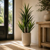 110cm Artificial Agave Tropical Display in Pot Artificial
