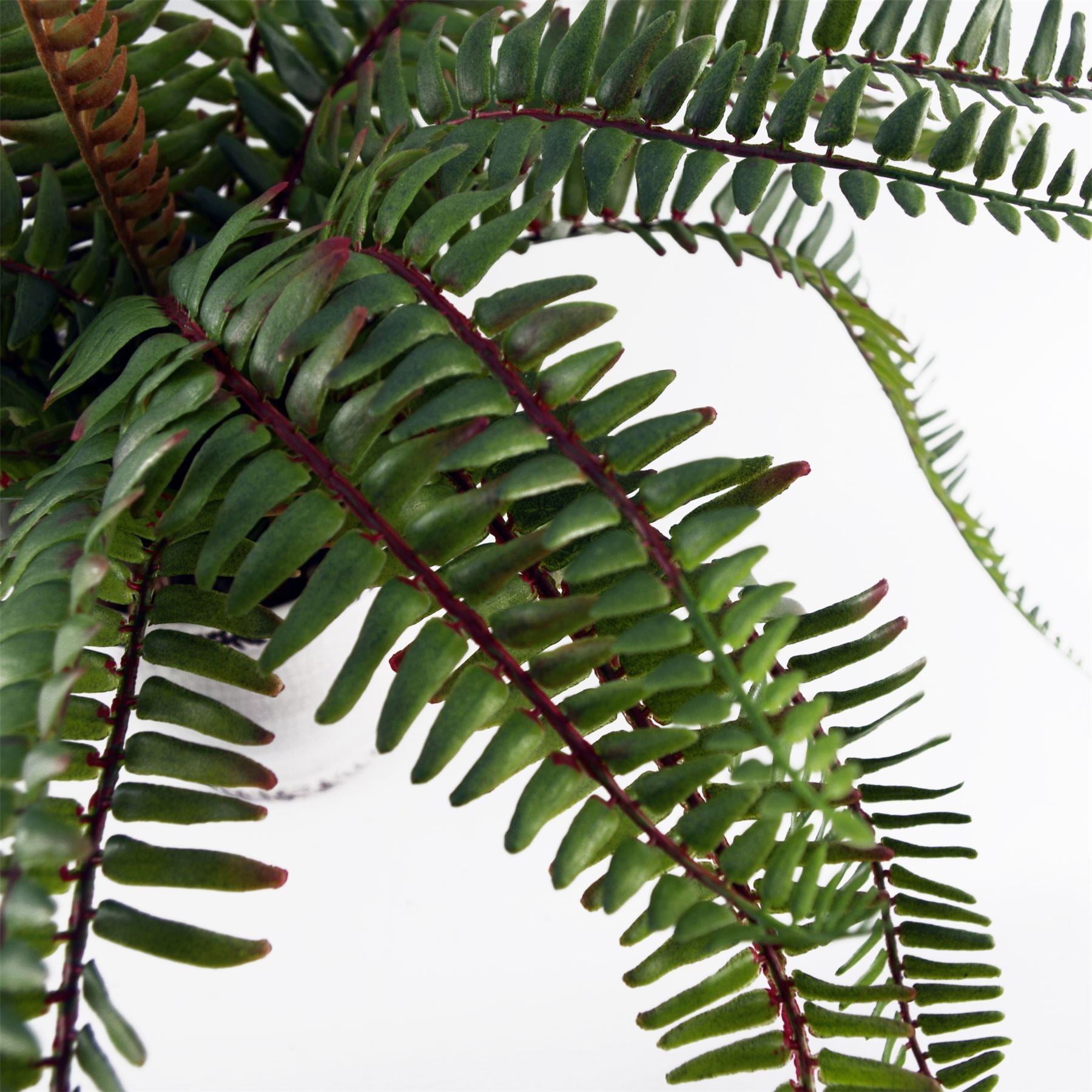 Artificial Fern Bush in Decorative Planter