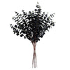 Pack of 6 x 80cm Black Eucalyptus Foliage Stem - Premium Quality