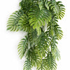Pack of 6 x 80cm Trailing Tropical Monstera Plant - Sage Green - Premium Quality