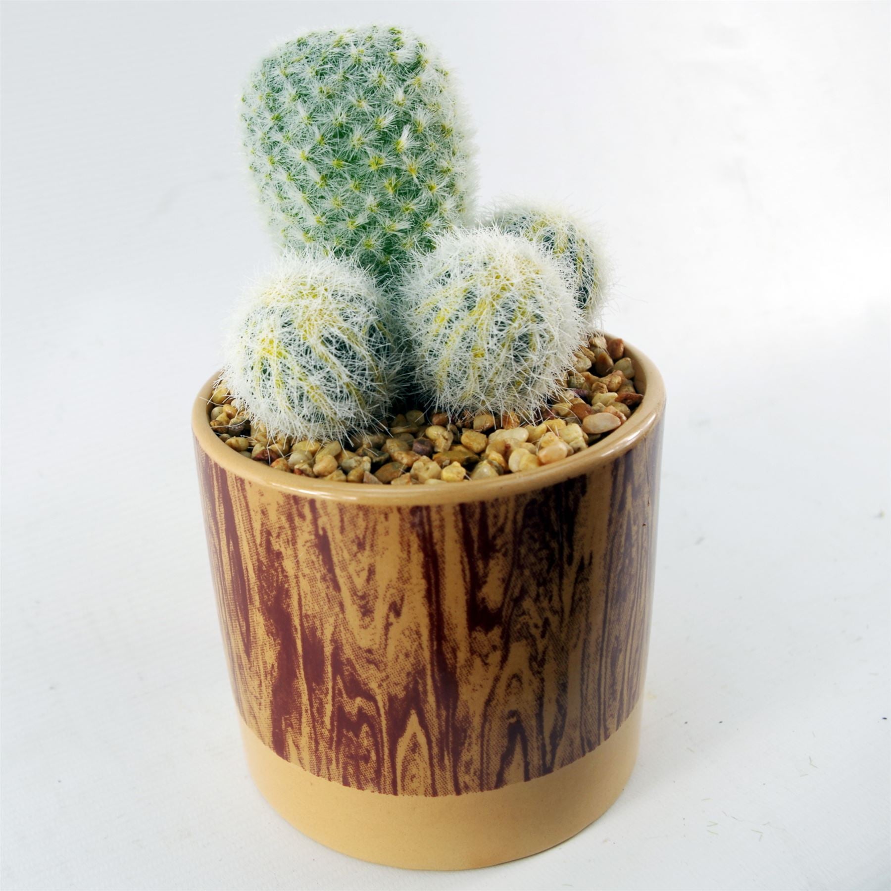Artificial Cactus Plant Cacti in Ceramic Planter