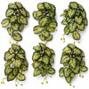 Pack of 6 x 25cm Artificial Trailing Variegated Caladium Vine Plant Dark Green