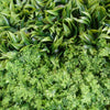 100cm Artificial Green Wall Panel Mixed Foliage Faux Living Wall
