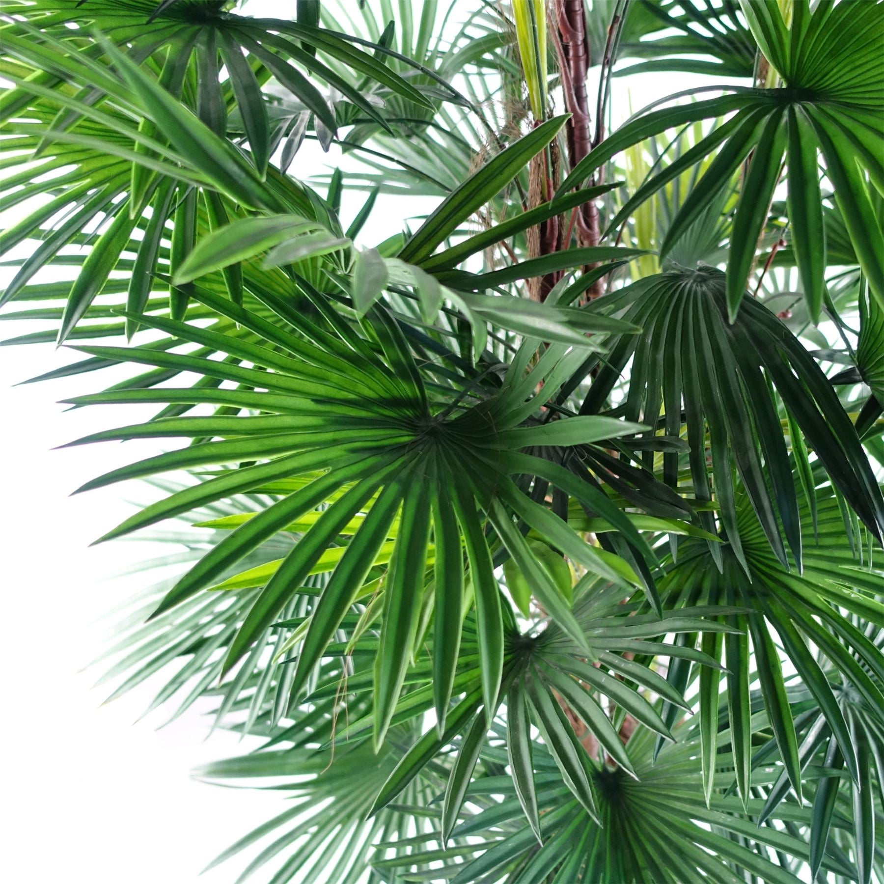 Leaf 120cm Raphis Palm Artificial