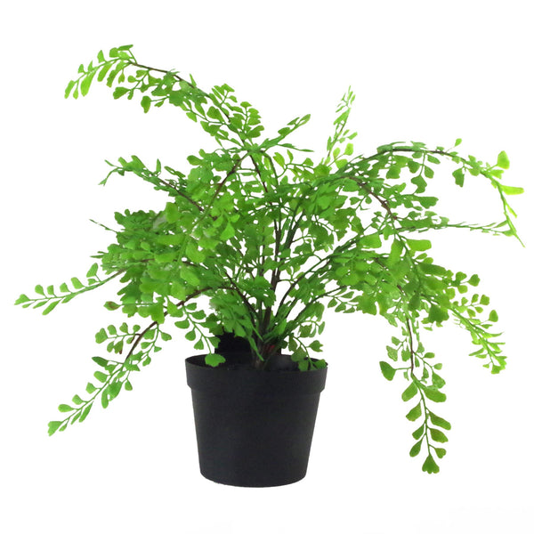 Artificial Fern Plant Pot Maidenhair Fern 35cm Leaf Design UK Realistic Plant Botanik