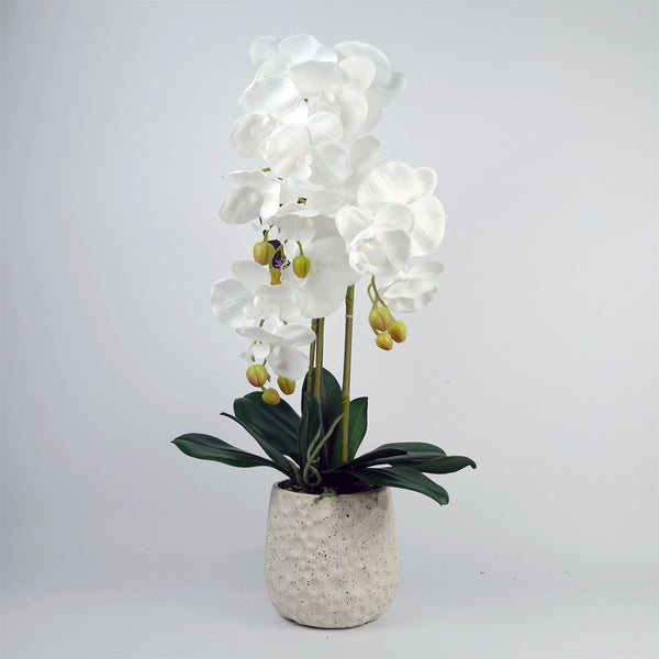 Artificial White Orchid with Ceramic Bubble Planter Botanik