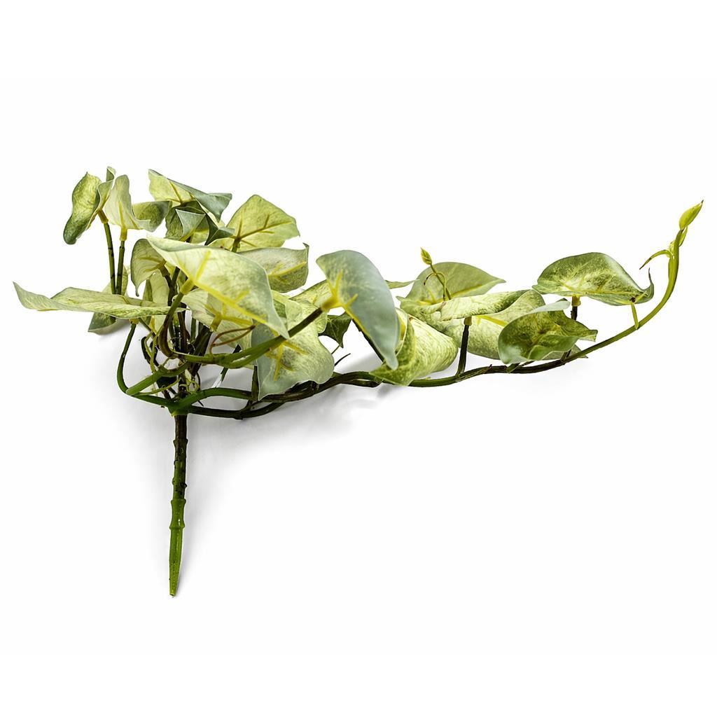 Pack of 6 x 25cm Artificial Trailing Variegated Caladium Vine Plant Light Green