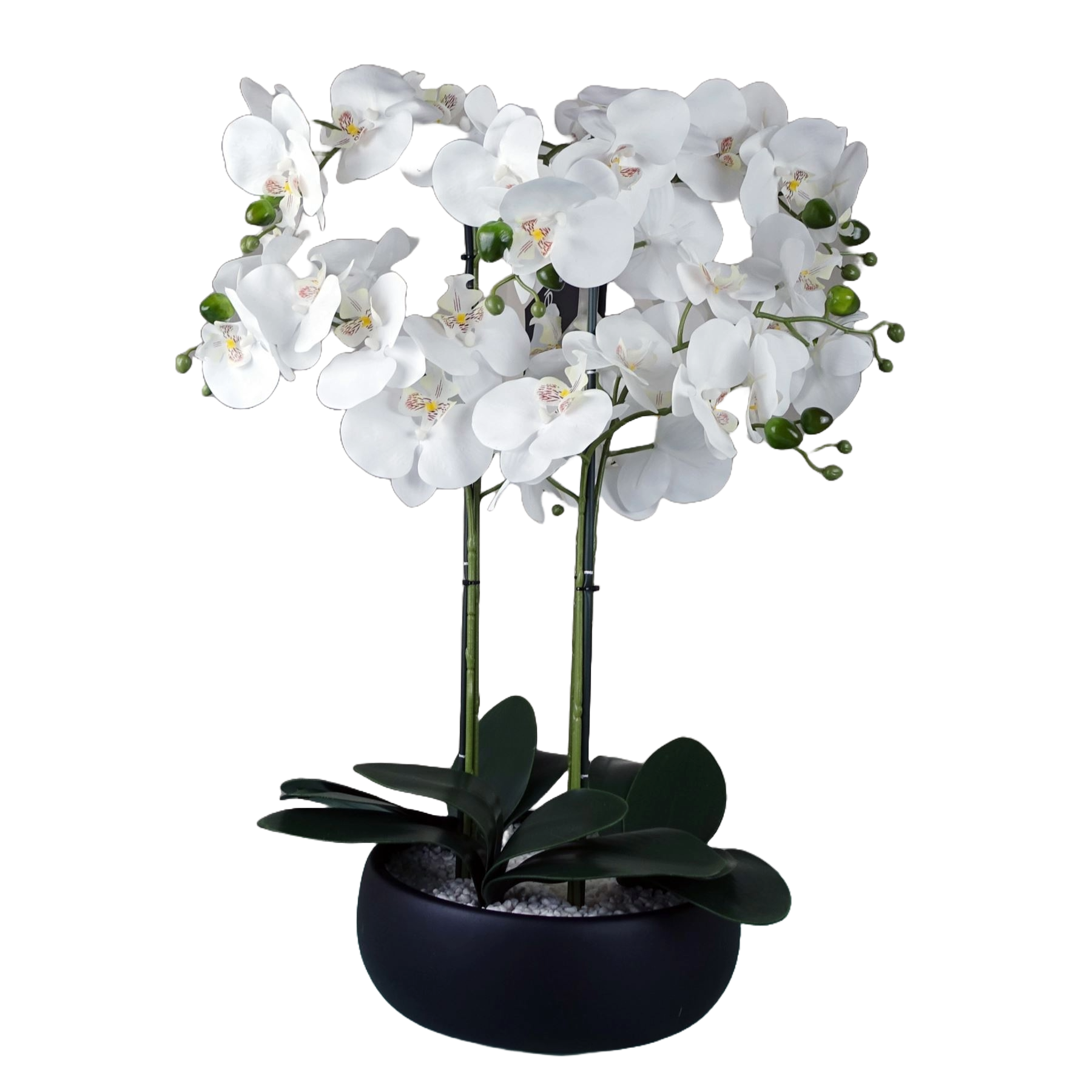 Orchid Artificial White Black Ceramic Planter Botanik