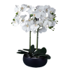 Orchid Artificial White Black Ceramic Planter Botanik