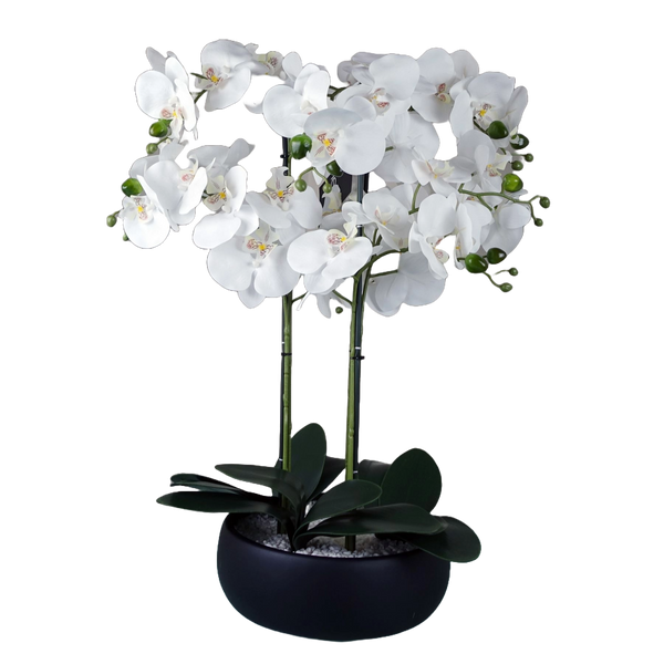 Orchid Artificial White Black Ceramic Planter Botanik