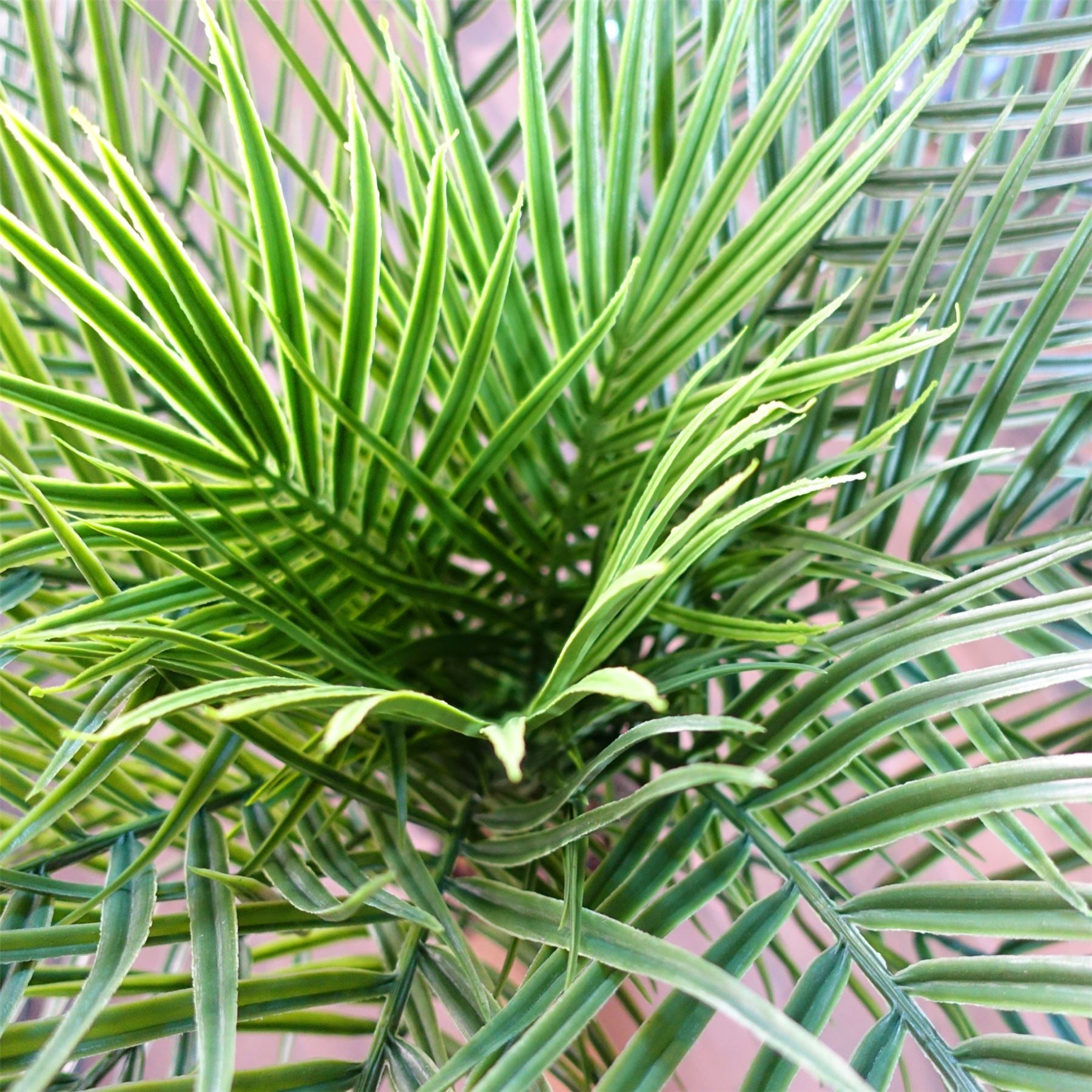 Leaf 120cm Cycas Palm Tree UV Resistant Outdoor