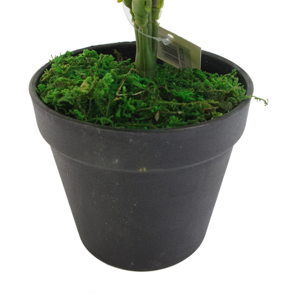Artificial 50cm Luxury Evergreen Fern Plant