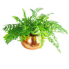 Leaf Large Metal Planter Edge Metal Planter 20cm