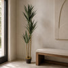 Artificial Tree Yukka Tropical House Plant 170cm Tall XXL Yukka Botanik