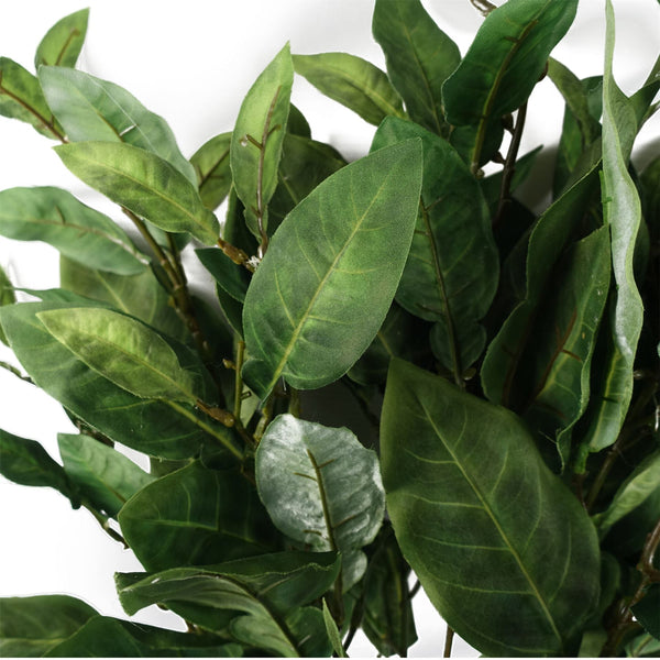 Pack of 6 x 90cm Artificial Ficus Foliage Stem