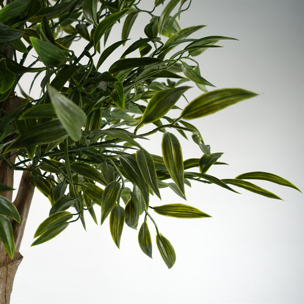 UV Resistant Ruscus Tree- 2716 leaves