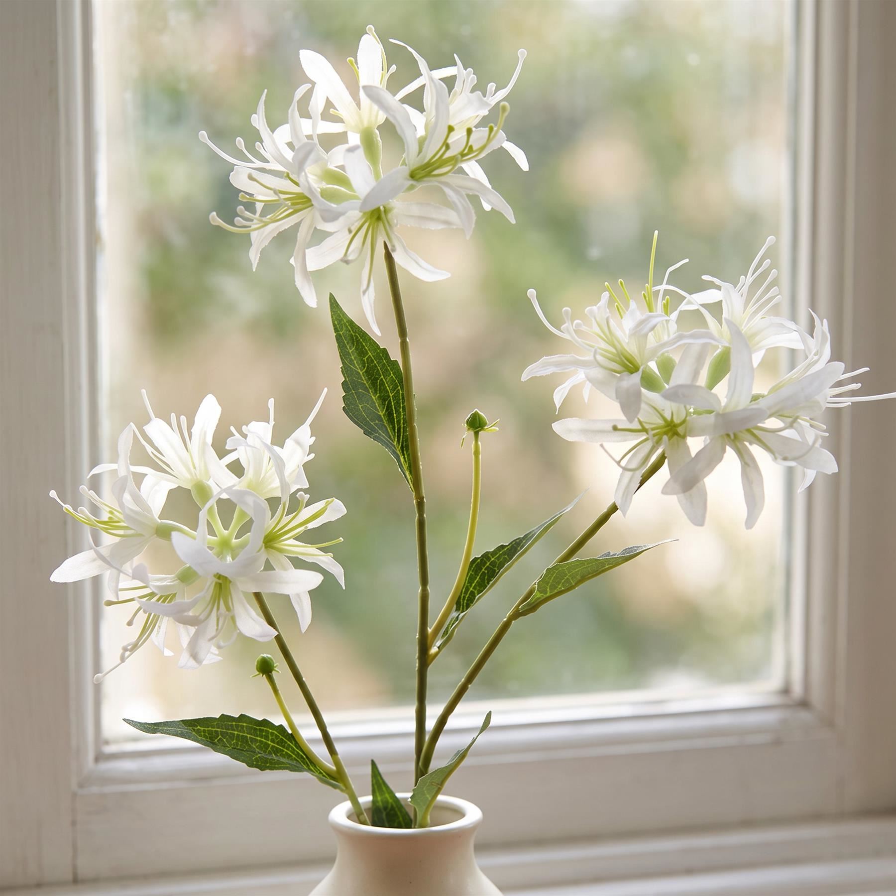 Pack of 6 x 72cm Artificial White Spider Lily Stems