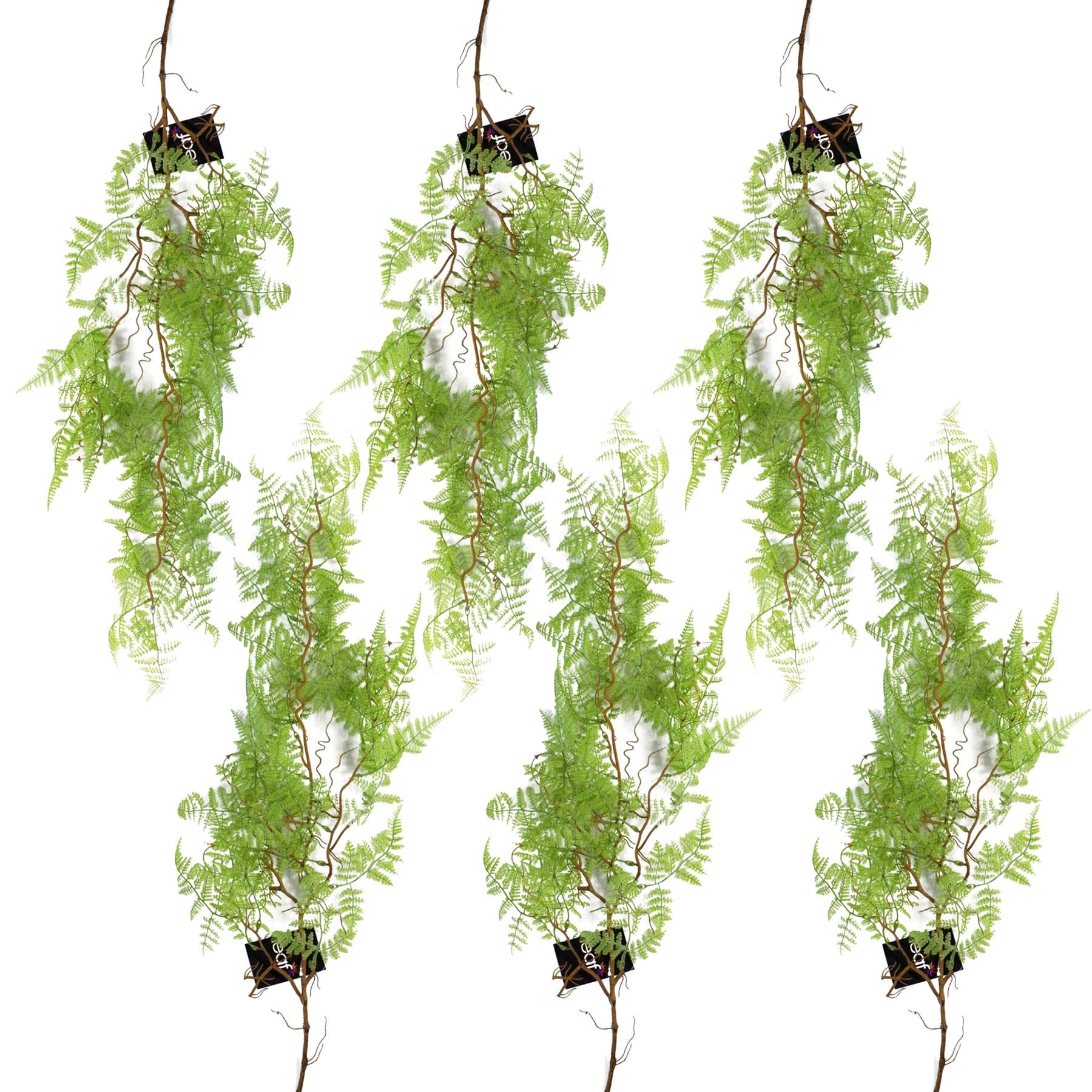 Leaf Artificial Hanging Fern Pack x 6