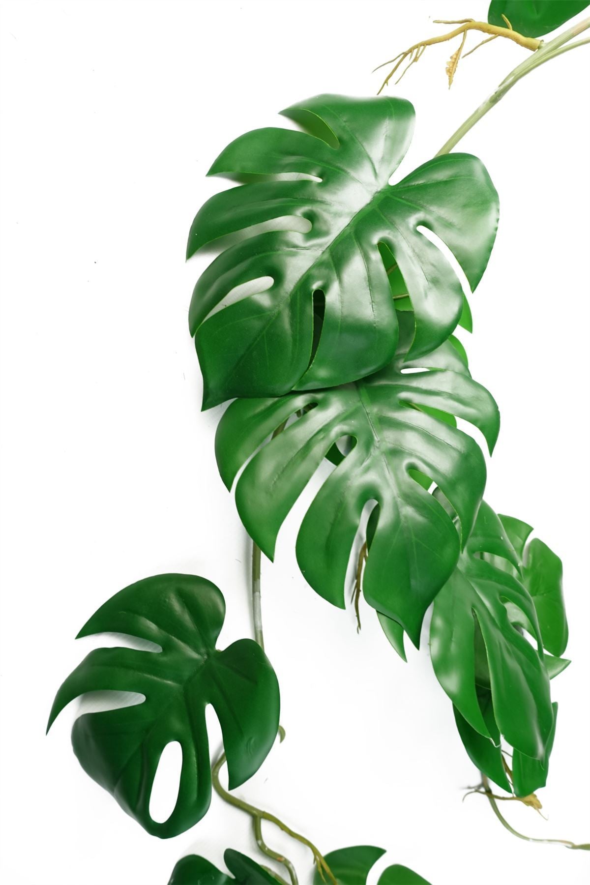 6 x 100cm Artificial Hanging Trailing Monstera Plant - Premium Quality