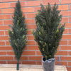 120cm Artificial Natural Look Cedar Cypress Tree - Premium Quality